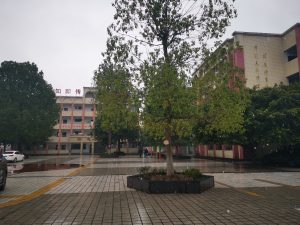 雪，一片一片一片