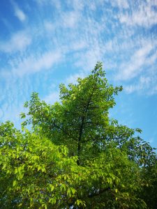 重庆市合川区钱塘镇中心完全小学2025年春期六年级研学实践活动比选结果公示