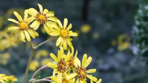 爱心敬老   童心生长——钱塘小学开展2025年敬老月系列主题活动